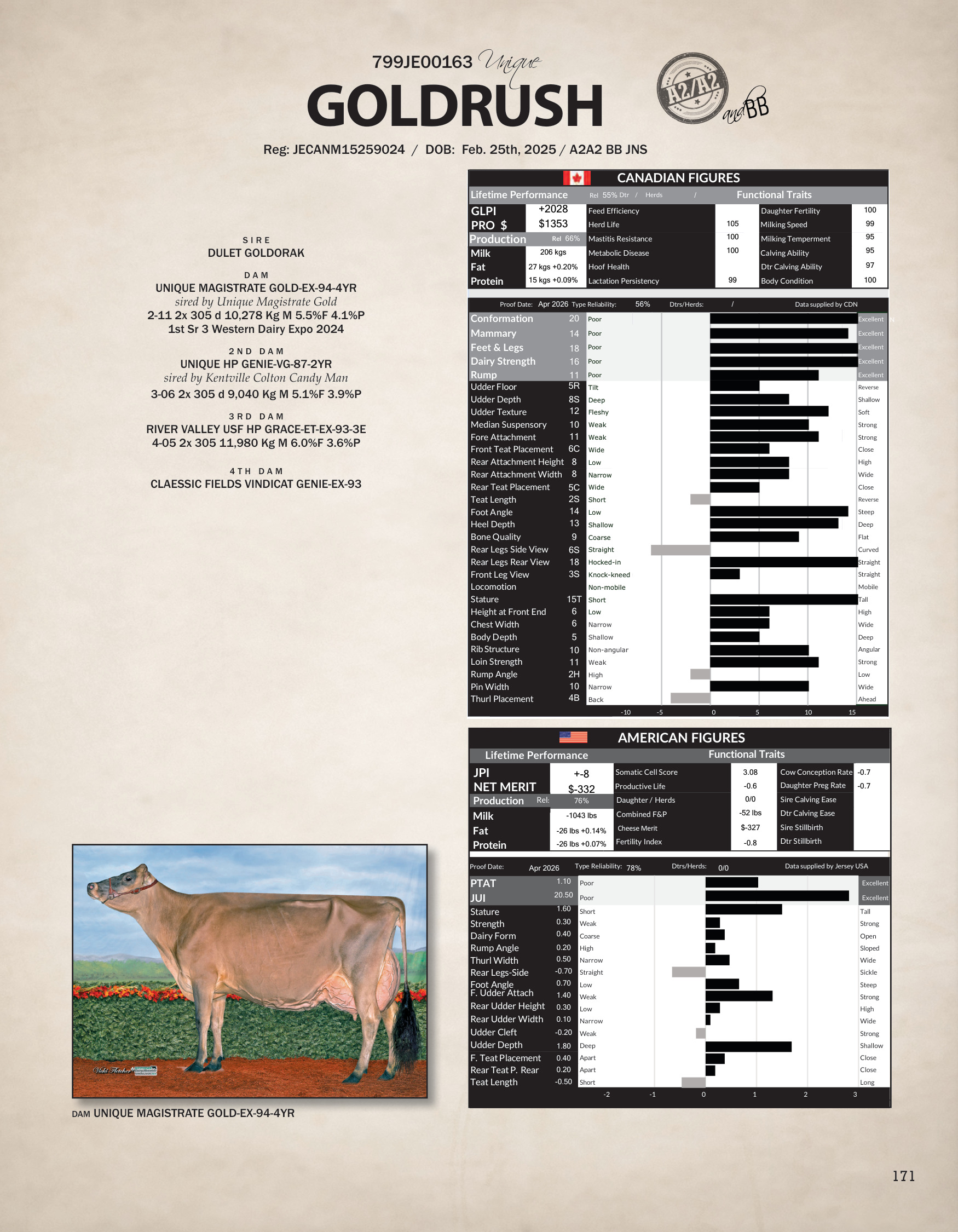 GOLDRUSH — 799JE00163